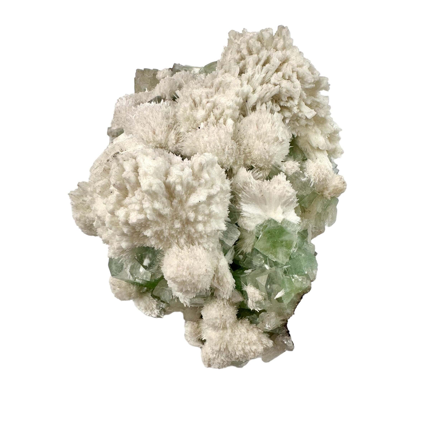 Zeolite with Green Apophyllite - Crystal Cluster - High Quality side view