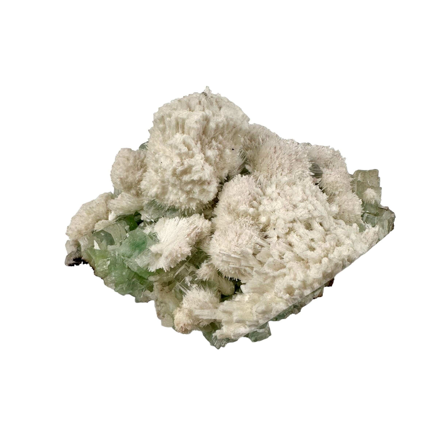 Zeolite with Green Apophyllite - Crystal Cluster - High Quality back view
