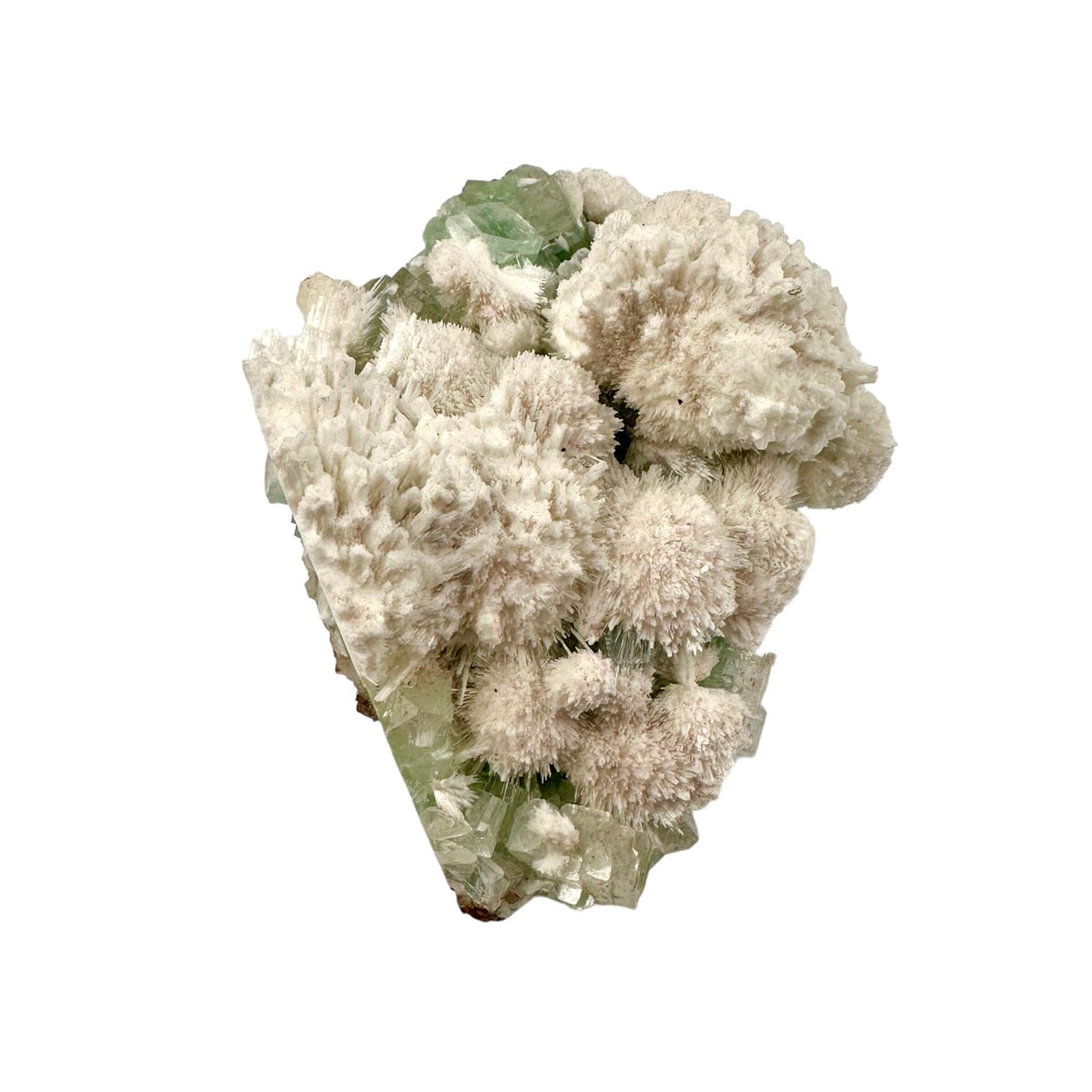Zeolite with Green Apophyllite - Crystal Cluster - High Quality side view