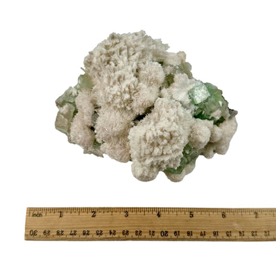 Zeolite with Green Apophyllite - Crystal Cluster - High Quality top view with ruler for size reference