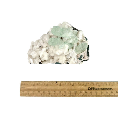 Green Apophyllite Crystals with Stilbite Crystal Specimen top view with ruler for size reference