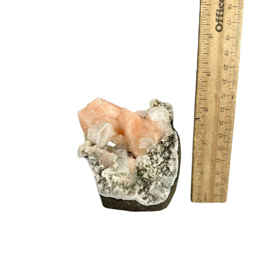Peach Stilbite with Apophyllite and Zeolite - Crystal Formation - with ruler for size reference