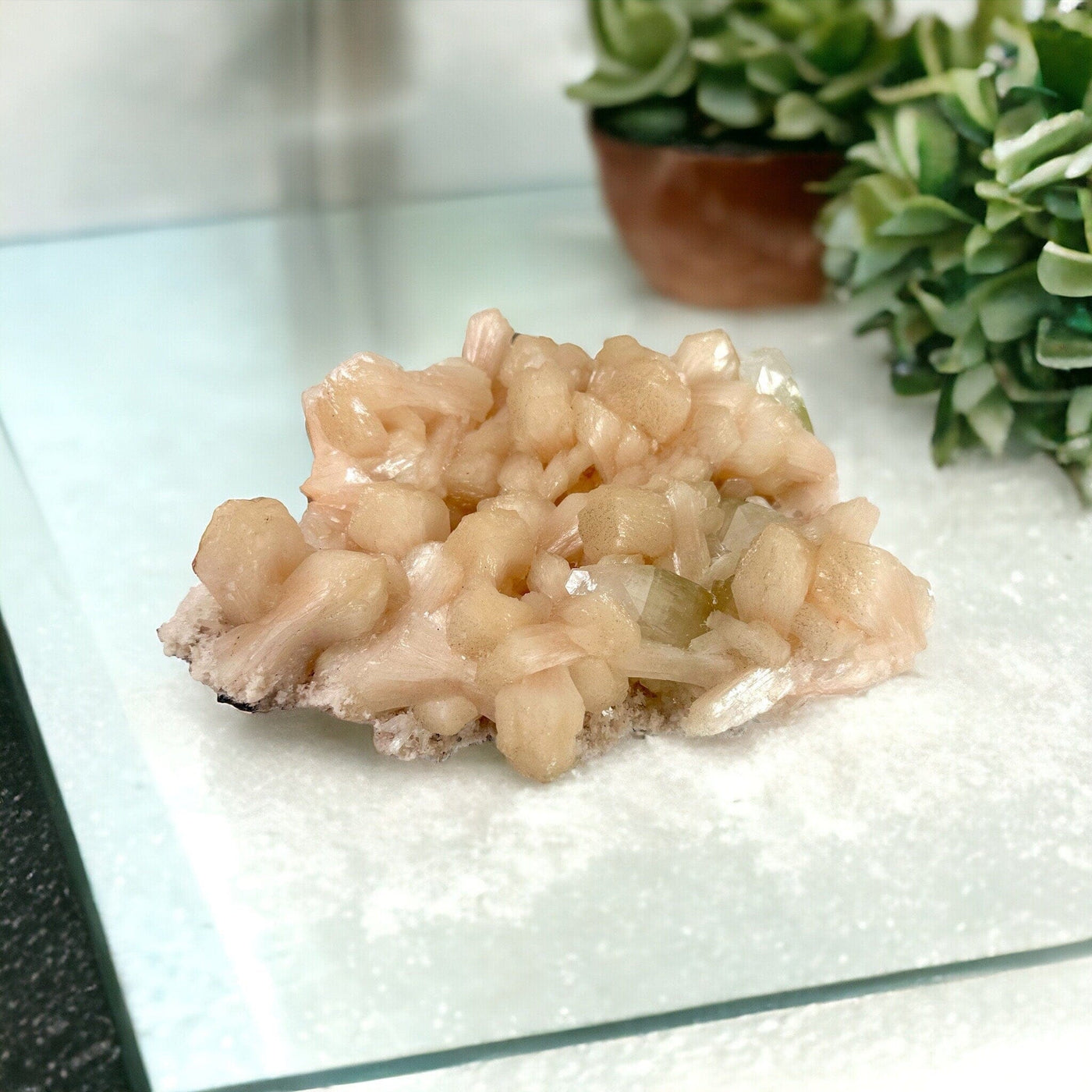 Peach Stilbite with Apophyllite and Zeolite - Museum Quality - Crystal Cluster on glass surface with succulents in the background