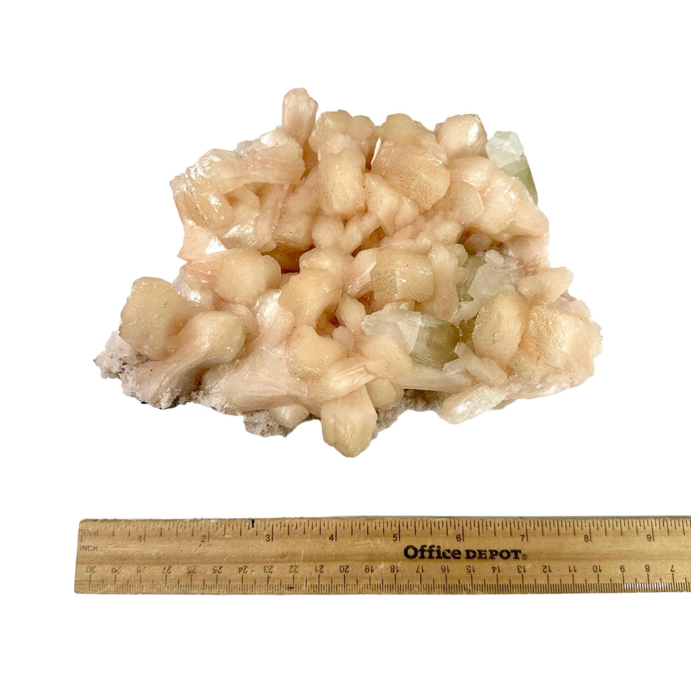 Peach Stilbite with Apophyllite and Zeolite - Museum Quality - Crystal Cluster with ruler for size reference