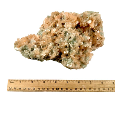 Peach Stilbite Cluster with Apophyllite and Zeolite - Museum Quality with ruler for size reference