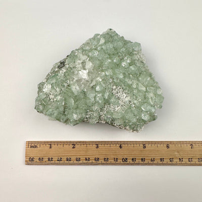 Green Apophyllite on Matrix Zeolite Crystal Cluster top view with ruler