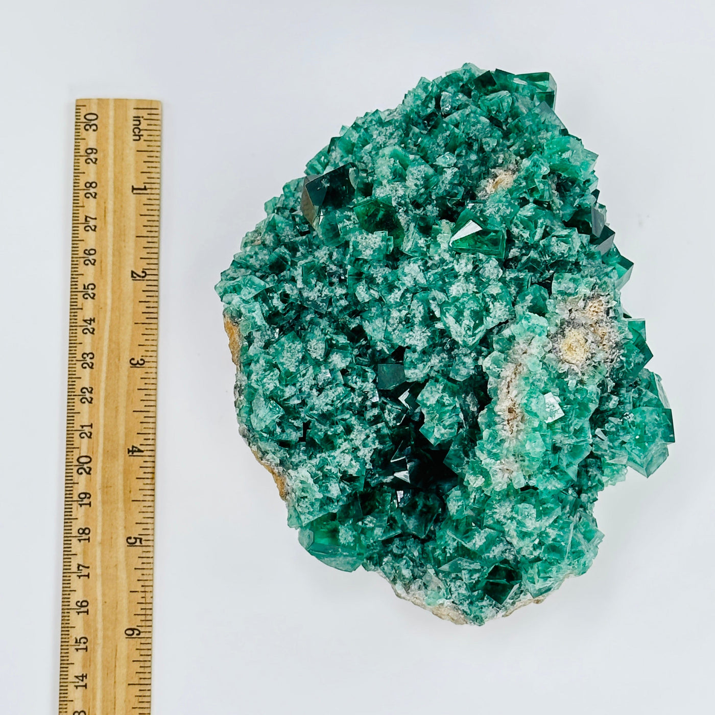 fluorite formation cluster next to a ruler for size reference