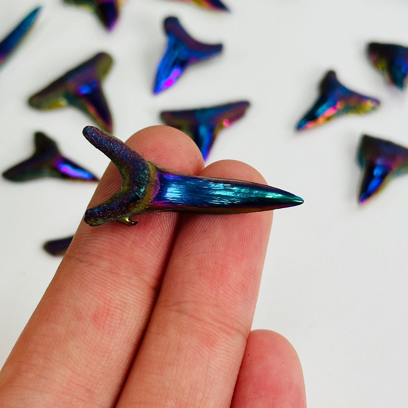 finger holding up mystic green and purple titanium coated shark teeth on white background