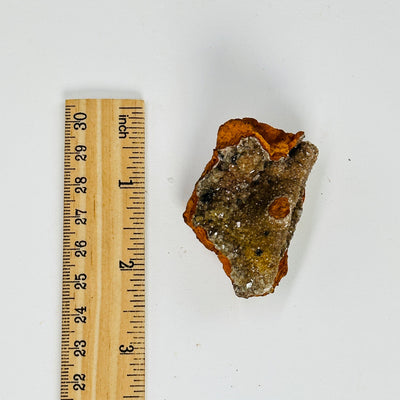 hemimorphite cluster next to a ruler for size reference