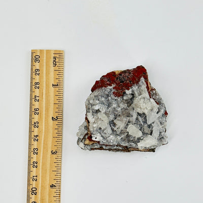 Mexican hemimorphite next to a ruler for size reference