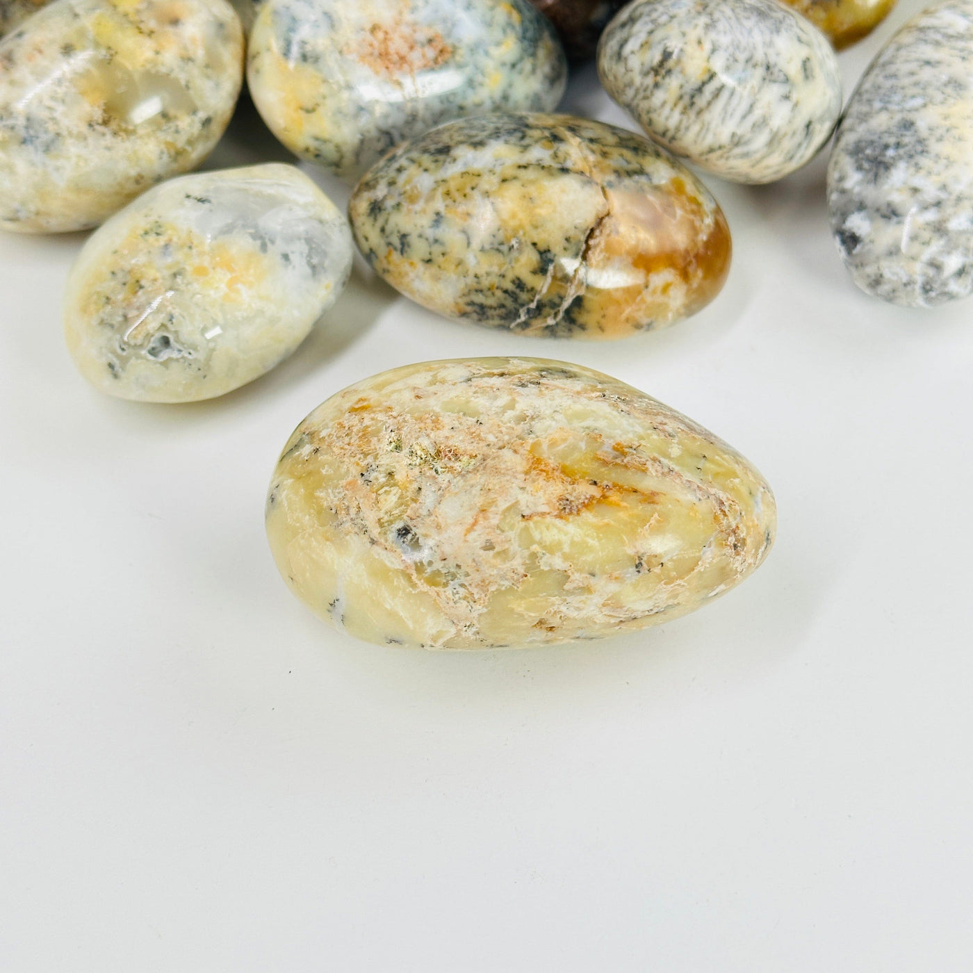 dendrite opal tumbled stones on white background