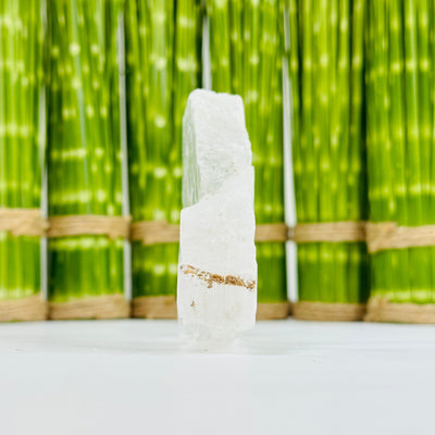 side view of Clear Selenite Slab with decorations in the background