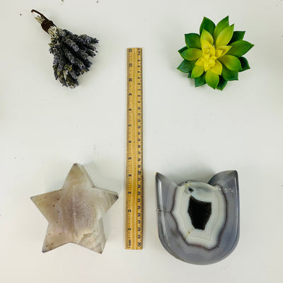 Agate Druzy cat head and star next to a ruler for size reference