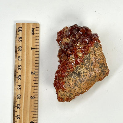 Natural vanadinite freeform next to a ruler for size reference