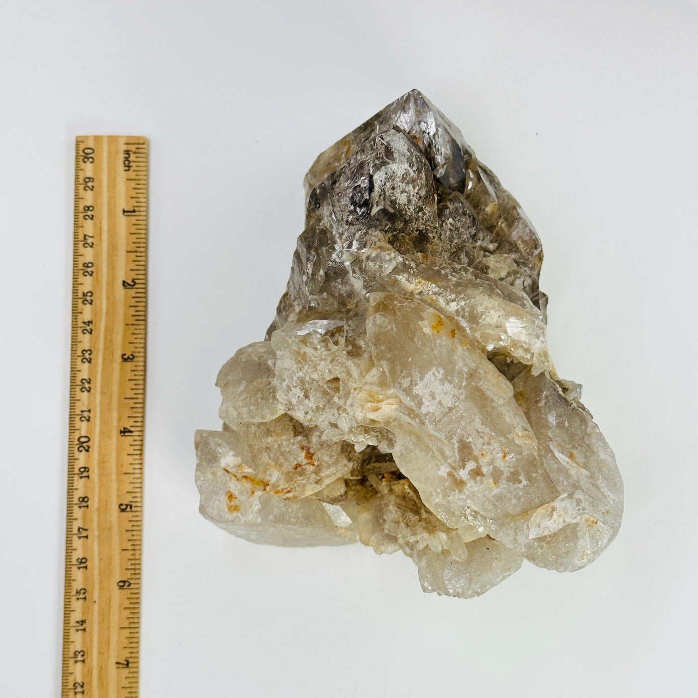 smokey quartz cluster nextto a ruler for size reference