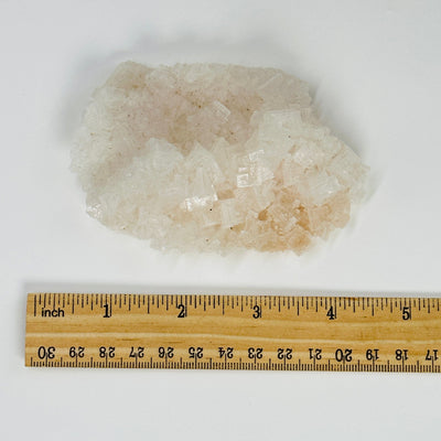 halite cluster next to a ruler for size reference