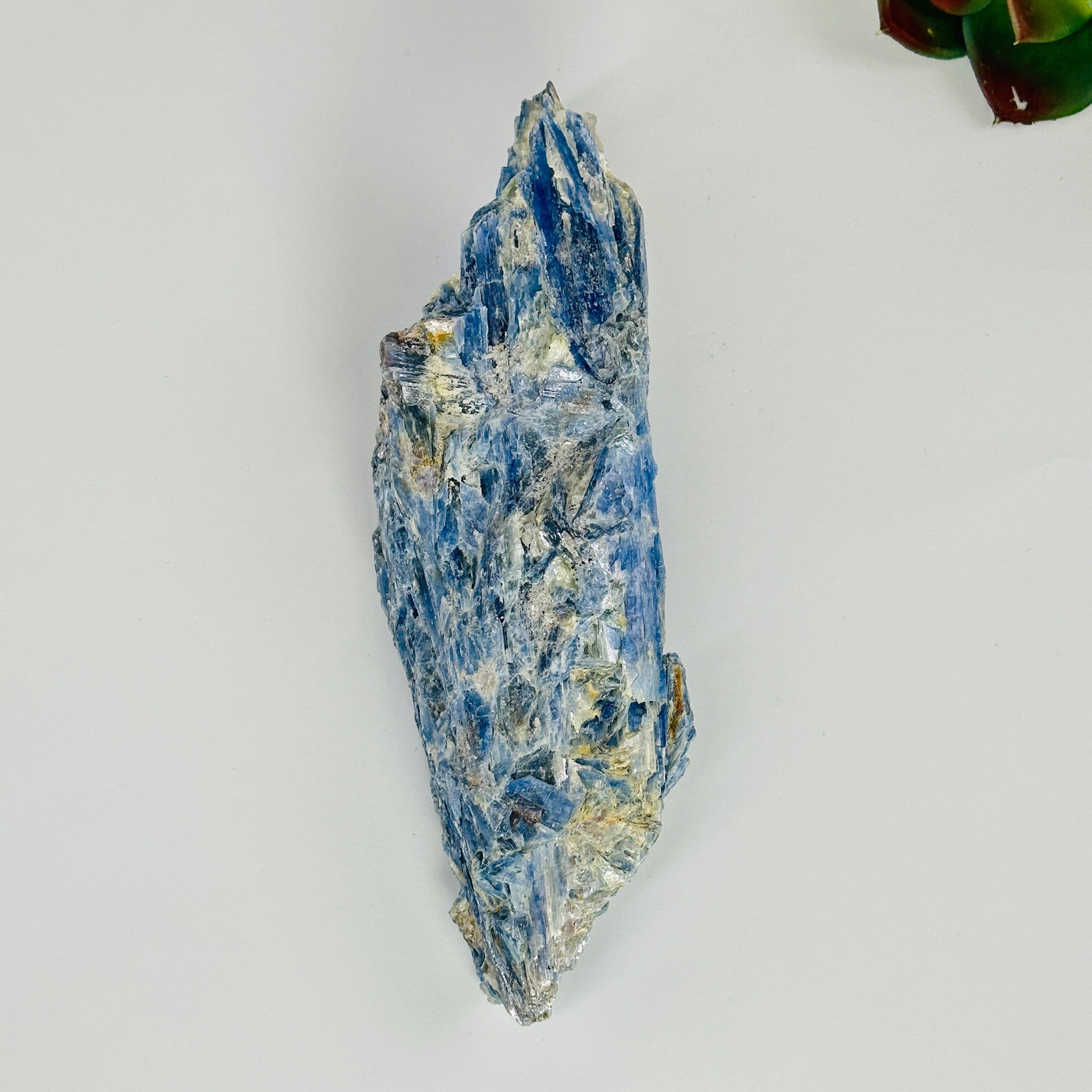 blue kyanite cluster on white background