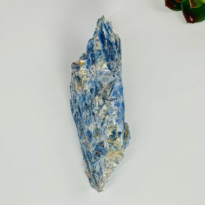 blue kyanite cluster on white background