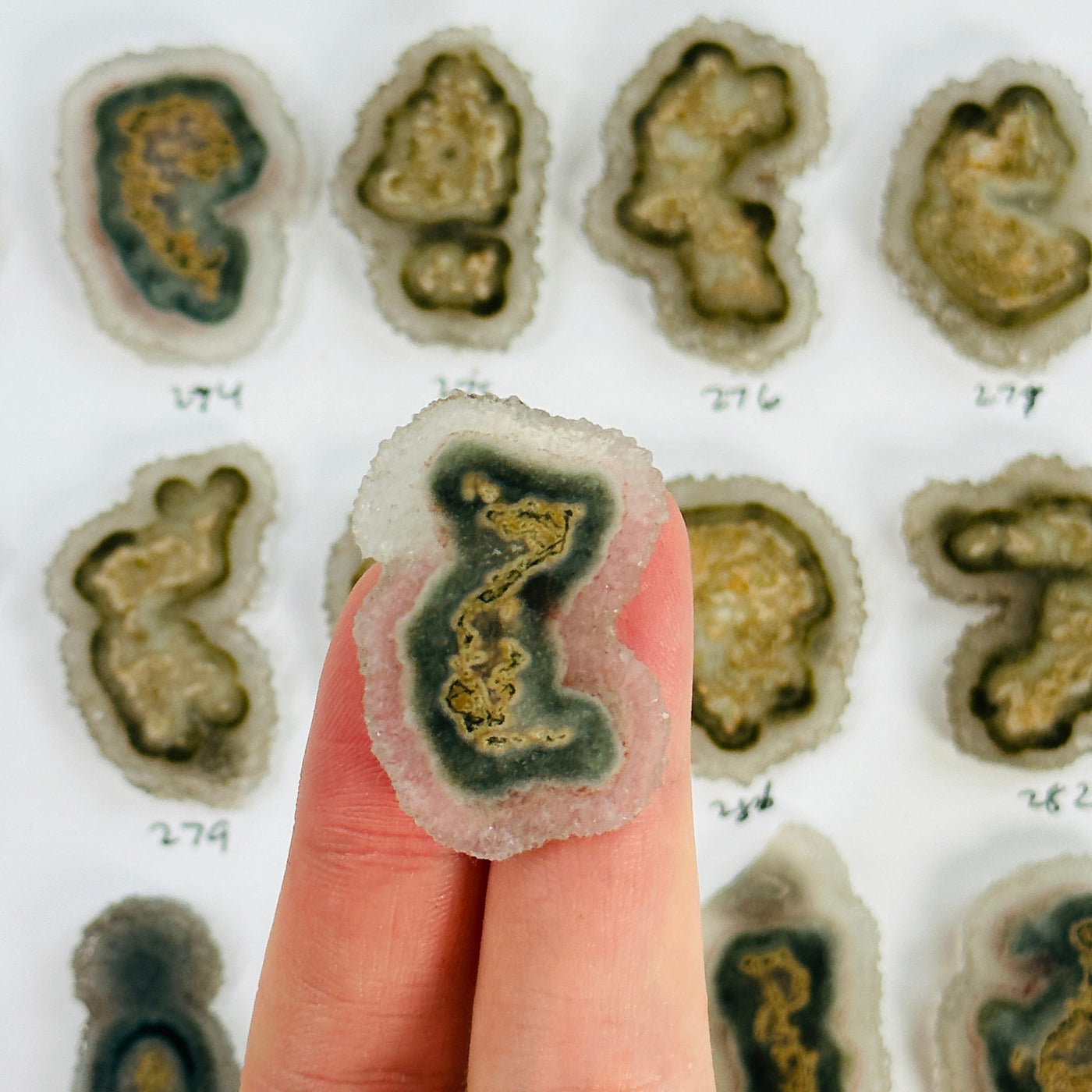 stalactite slices with others in the background