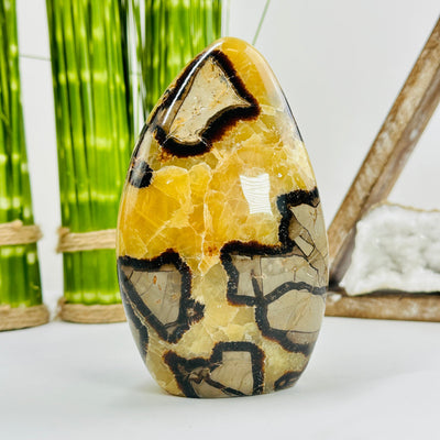 septarian polished decoration with decor in the background