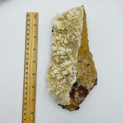calcite stalactite next to a ruler for size reference