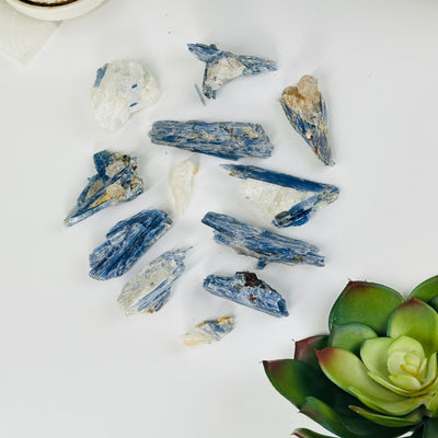kyanite pieces with decorations in the background