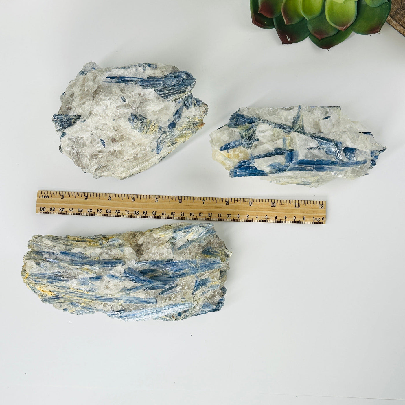 blue kyanite on matrix next to a ruler for size reference