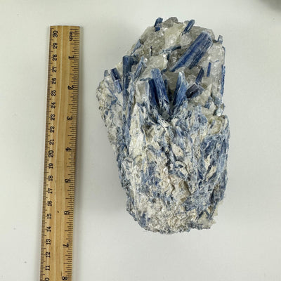 blue kyanite next to a ruler for size reference