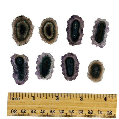 amethyst stalactite slices next to a ruler for size reference