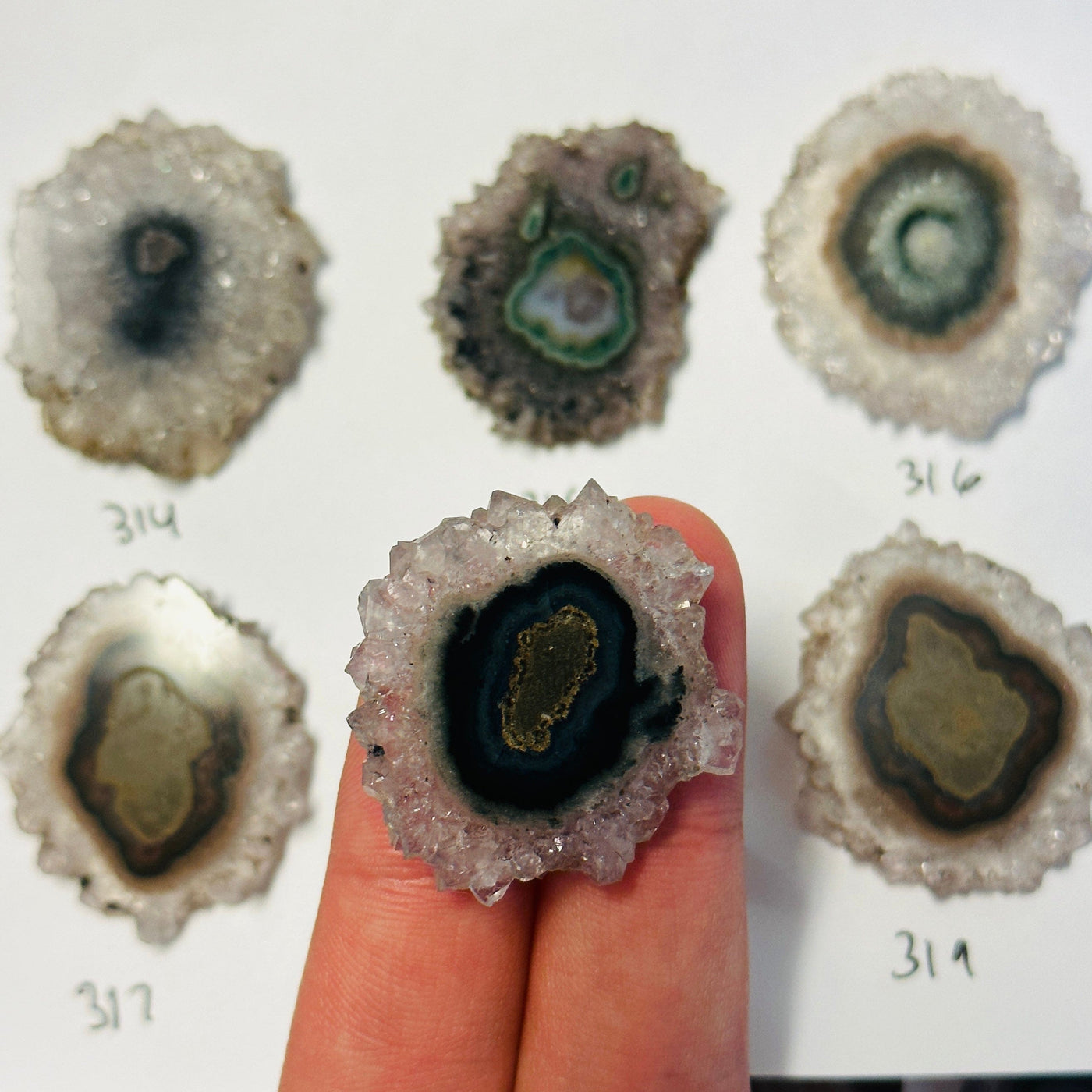 fingers holding up stalactite slices with others in the background