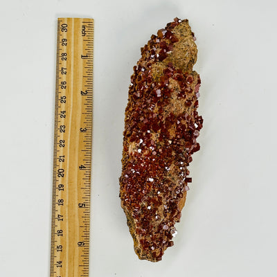 vanadinite freeform next to a ruler for size reference