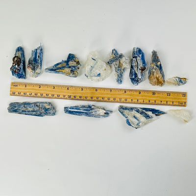 kyanite pieces next to a ruler for size reference