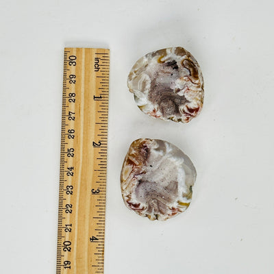 polished geode pieces next to a ruler for size reference