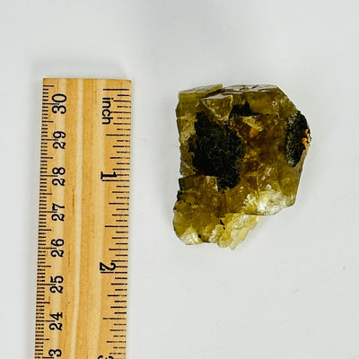 epidote cluster next to a ruler for size reference
