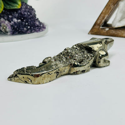 back view of Pyrite alligator with decorations in the background