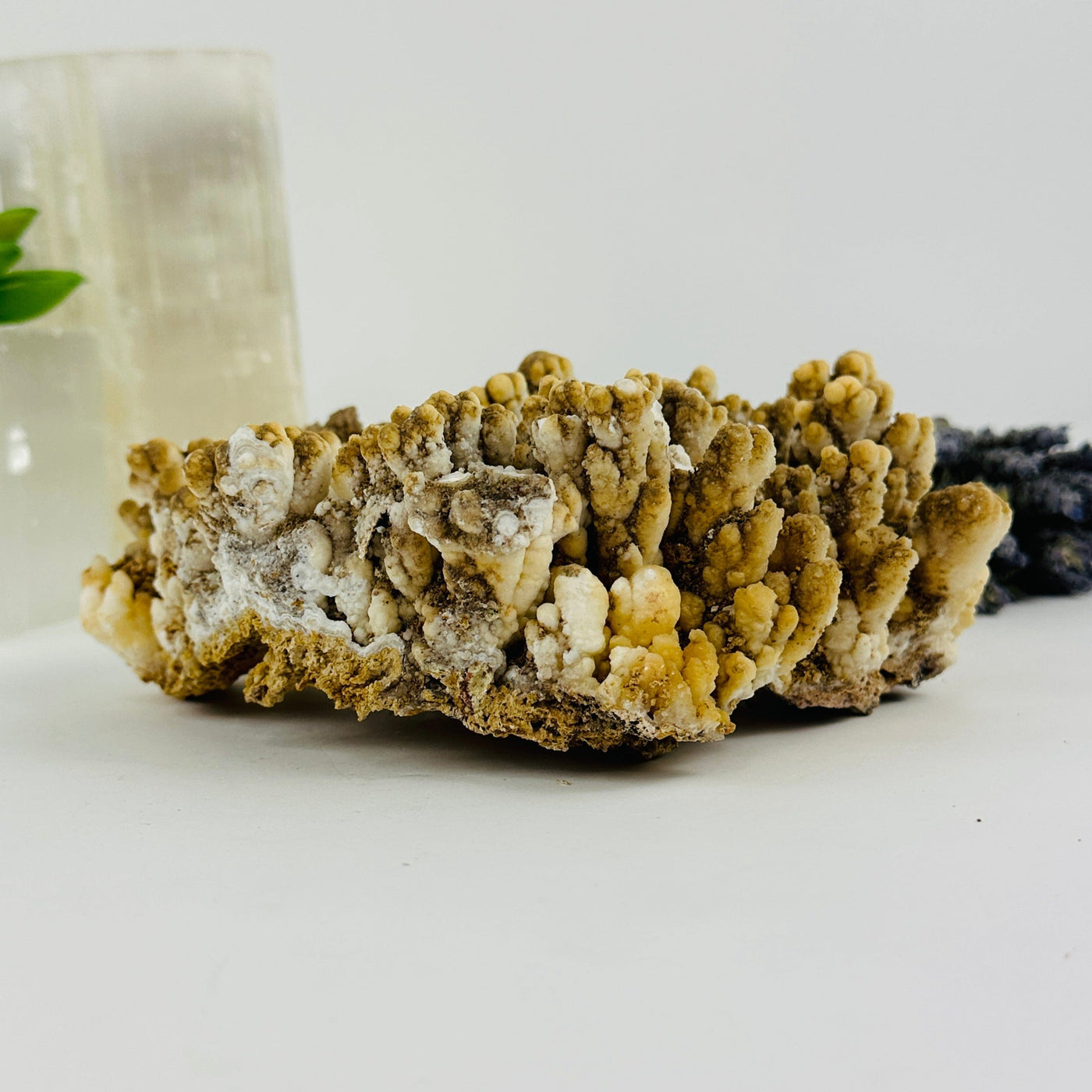 Side view of stalactite with decorations in the background