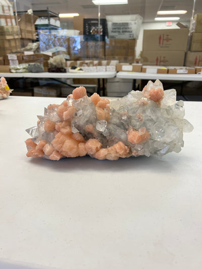 Large zeolite cluster with apophyllite and peach stillbite crystals on a white table