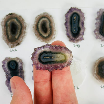 fingers holding up amethyst stalactite slice with others in the background
