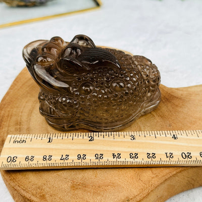 smokey quartz money frog next to a ruler for size reference