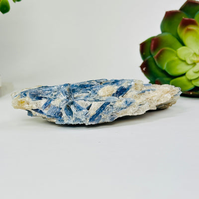 kyanite natural cluster with decorations in the background