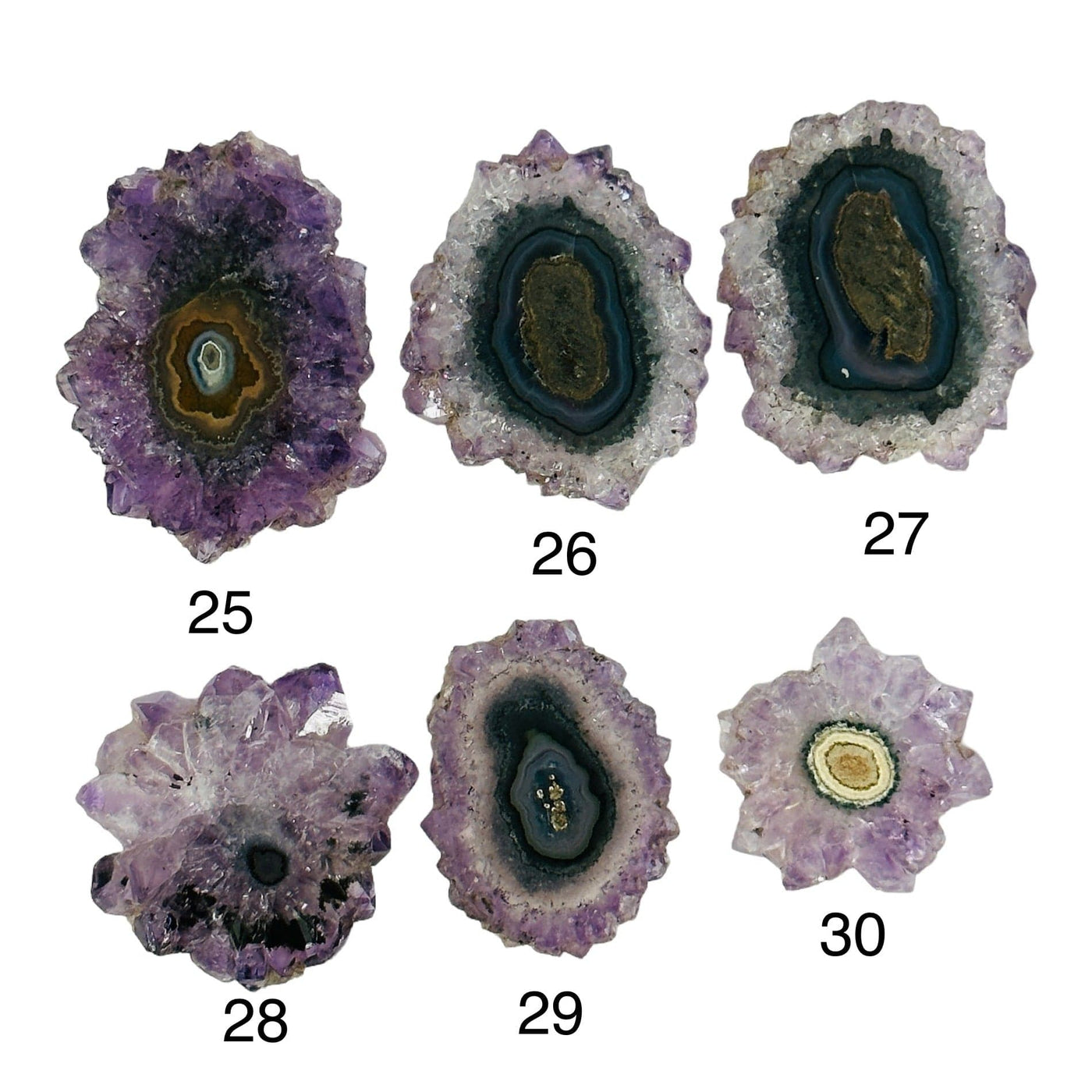 amethyst stalactite slices on white background