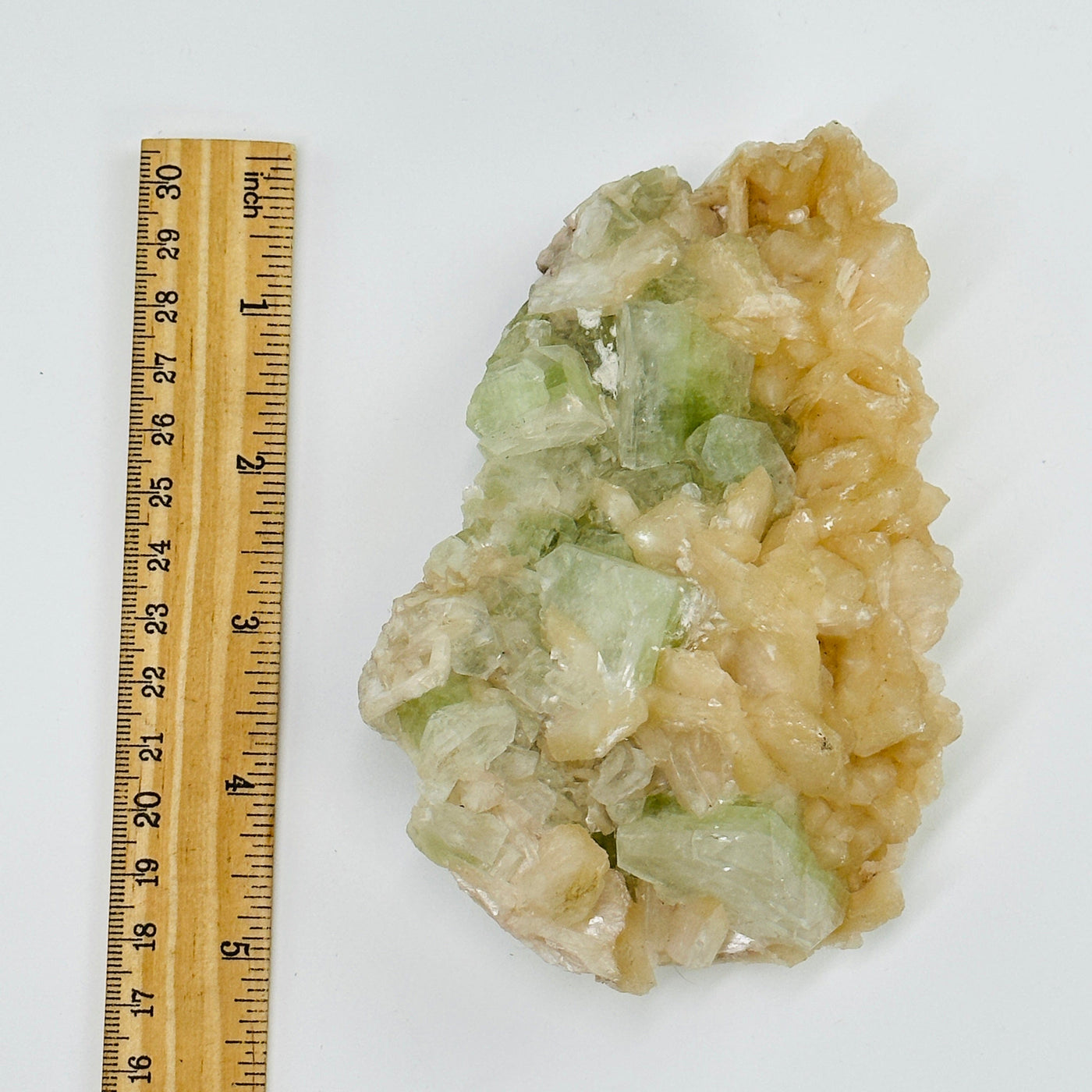 green apophyllite with stilbite next to a ruler for size reference