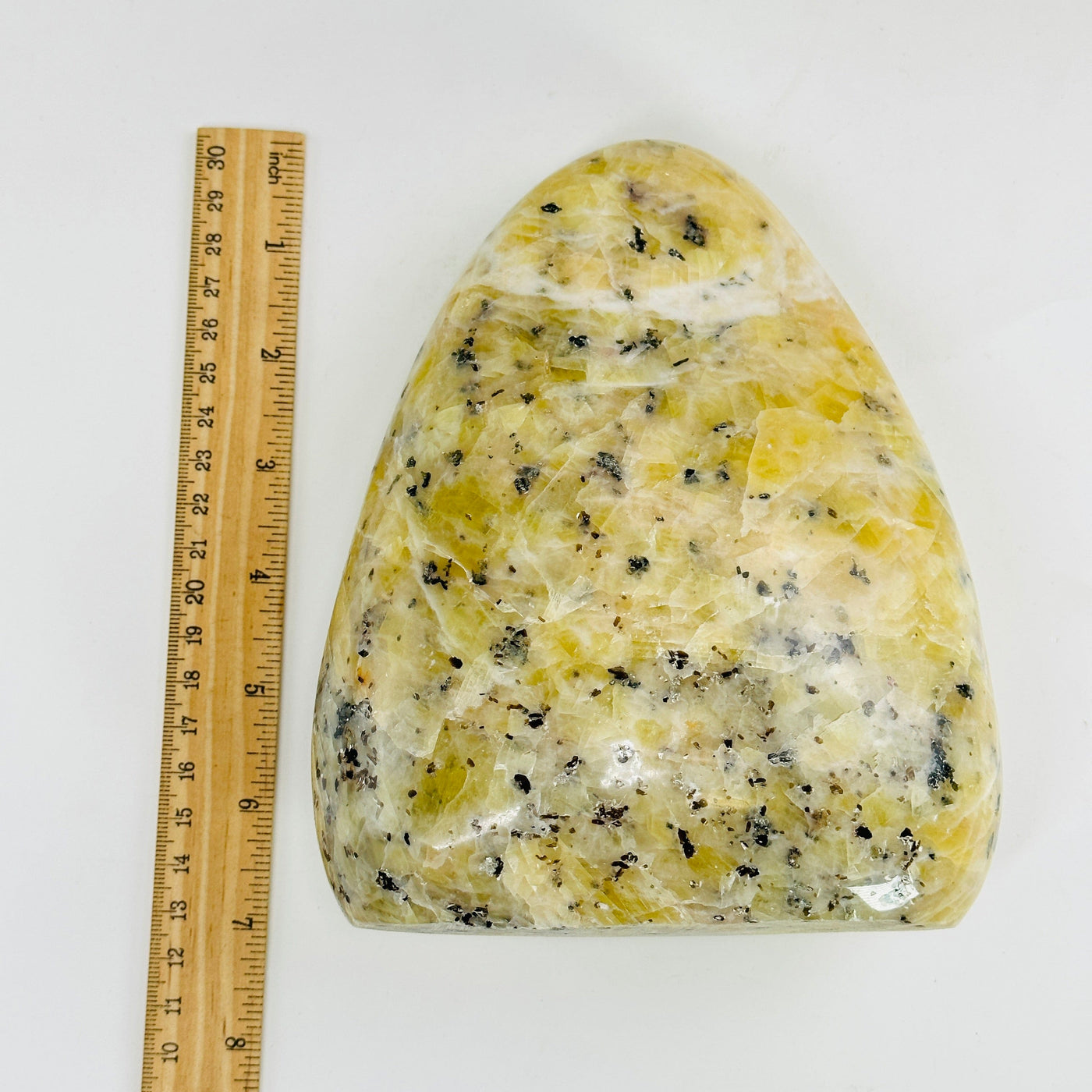 dendrite opal cut base next to a ruler for size reference