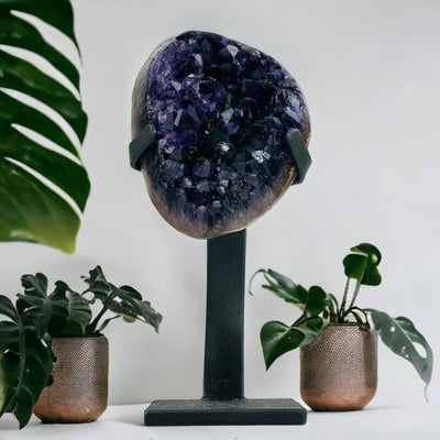 polished amethyst on stand with plants in the background