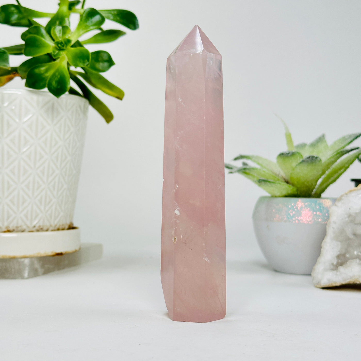 rose quartz polished point with decorations in the background