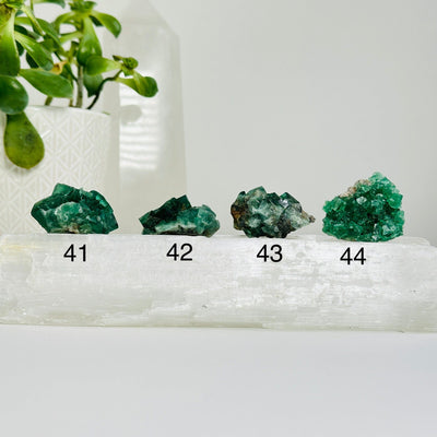 variants 41-44 of diana maria fluorite clusters