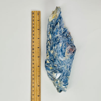 blue kyanite cluster next to a ruler for size reference