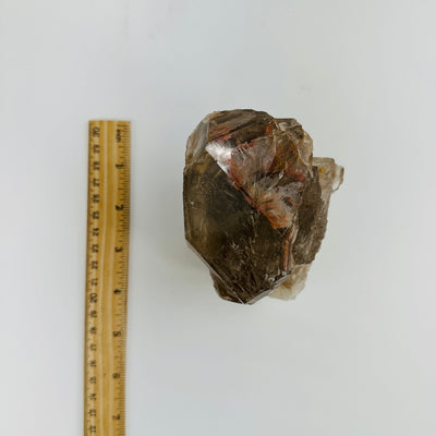 smokey quartz cluster next to a ruler for size reference