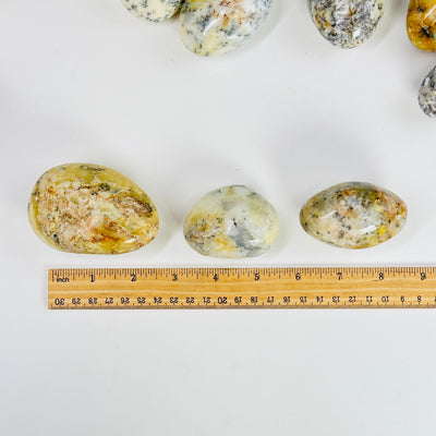 dendrite opal tumbled stones next to a ruler for size reference