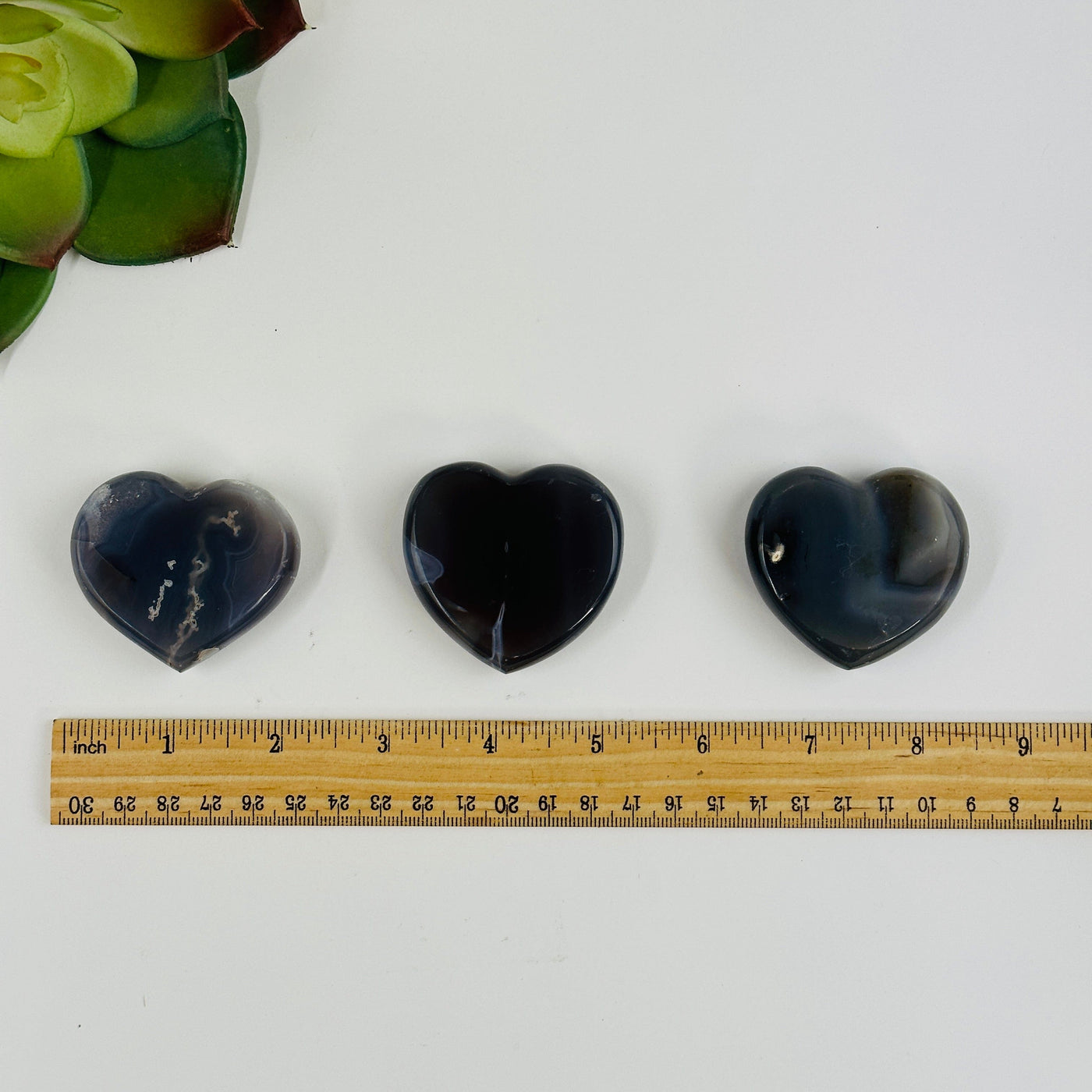 natural agate hears next to a ruler for size reference